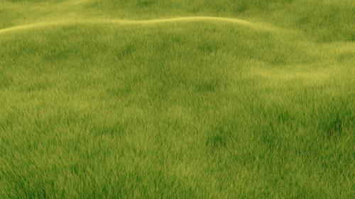 Photorealistic Grass  preview image